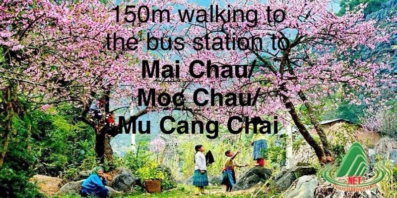 Simple & Cozy Hanoi Homestay Ngoại thất bức ảnh
